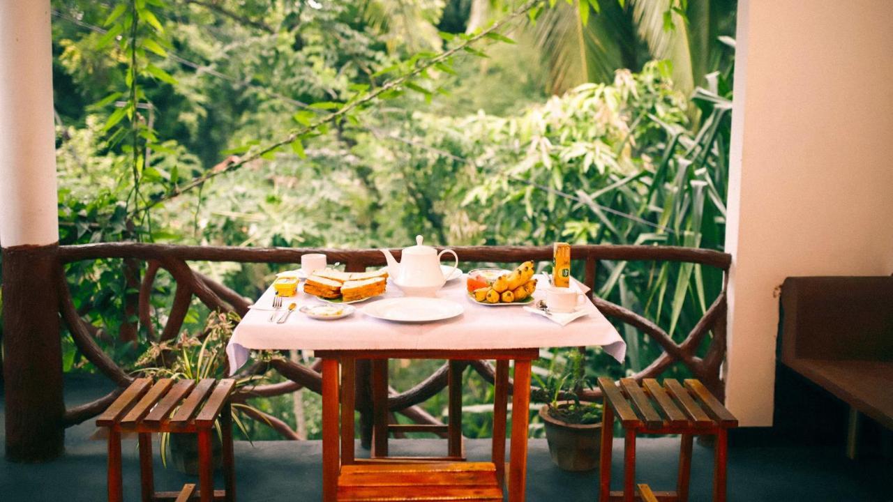 Aloe Vera Guest House Dambulla Ngoại thất bức ảnh